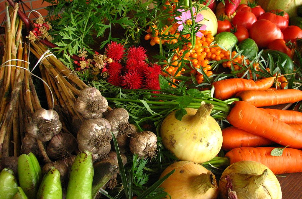 1024px-Ecologically_grown_vegetables
